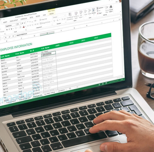 Biznis Excel - napredno znanje ovog programa za vaše zaposlene